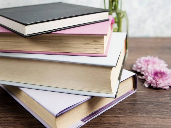 Creative Pro Bundle