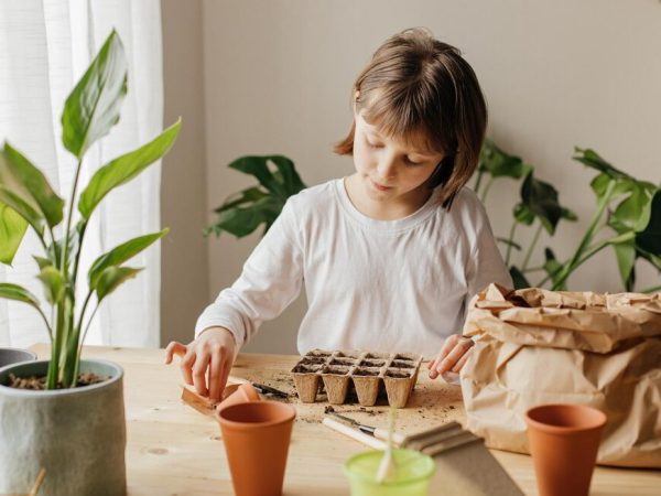 Eco Kids Craft Collection